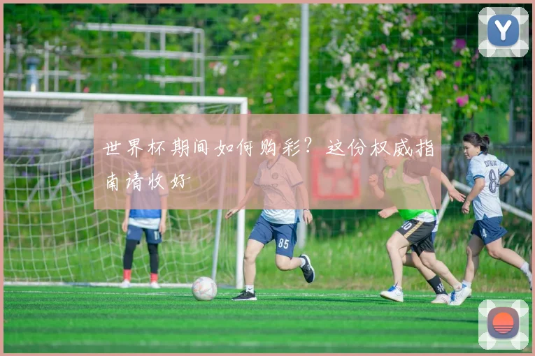 世界杯期间如何购彩？这份权威指南请收好