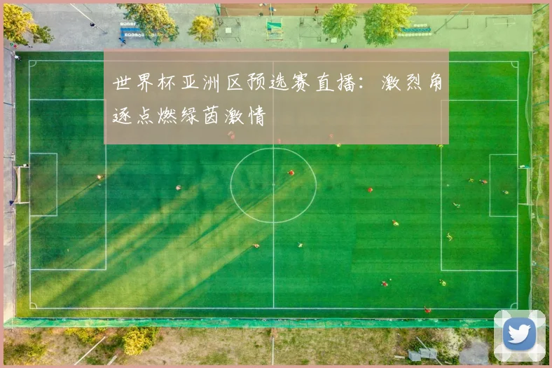 世界杯亚洲区预选赛直播:激烈角逐点燃绿茵激情