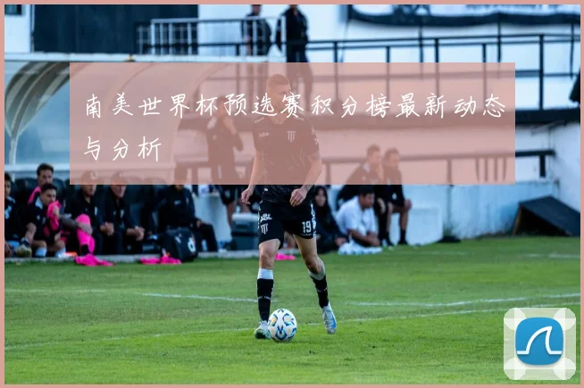南美世界杯预选赛积分榜最新动态与分析
