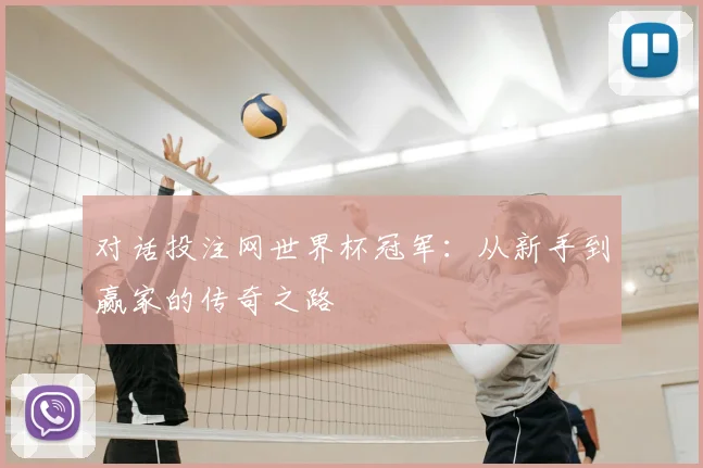 对话投注网世界杯冠军:从新手到赢家的传奇之路