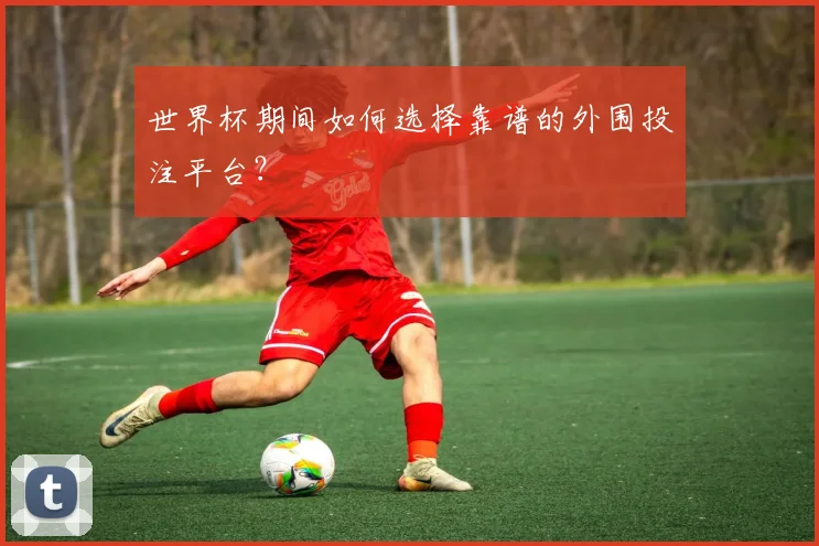 世界杯期间如何选择靠谱的外围投注平台？